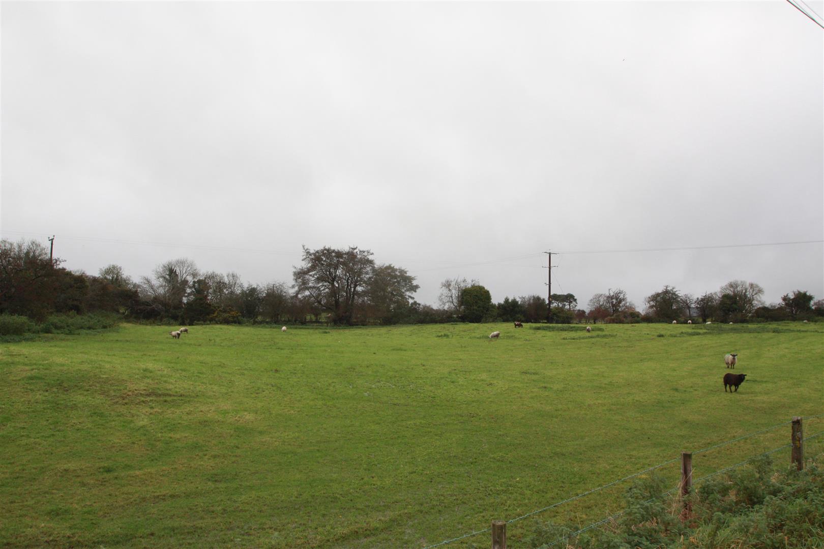 Land at Corner Of Dromore Road And Cargygray Road