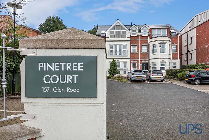 Pinetree Court Glen Road